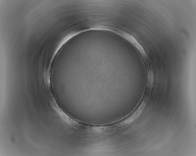 X0000112470908200908171155