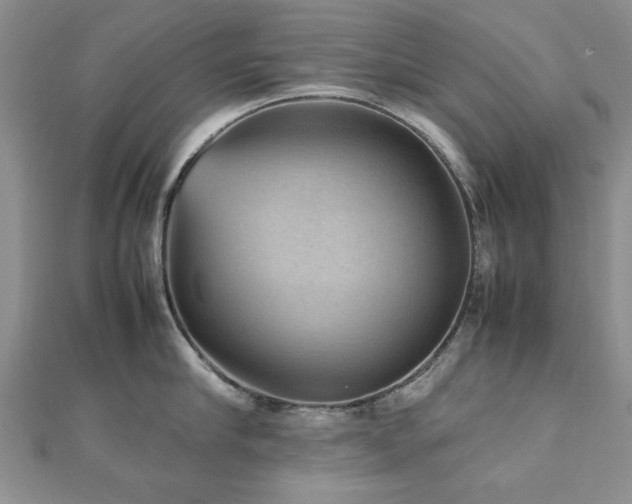 X0000112470910200908171155