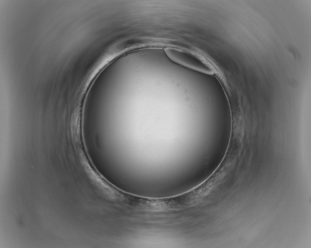 X0000112470911200908171155