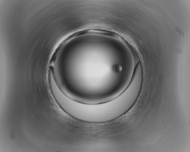 X0000112470912200908171155