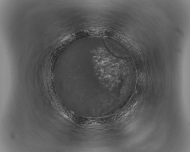 X0000112470913200908171155