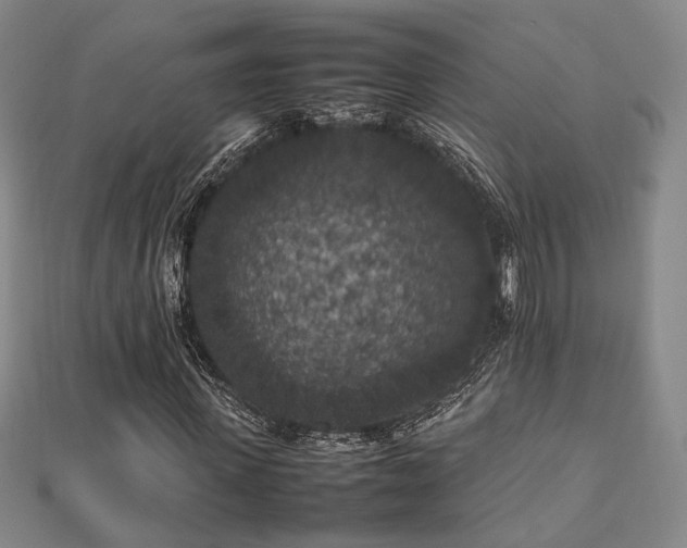 X0000112470915200908171155