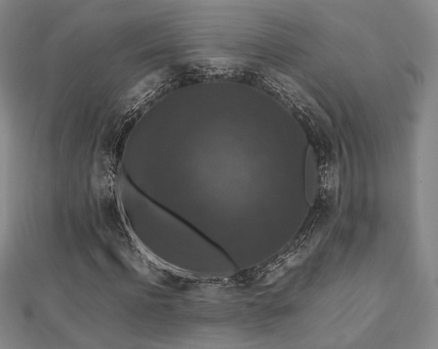 X0000112470916200908171155