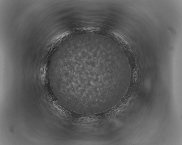 X0000112470917200908171155