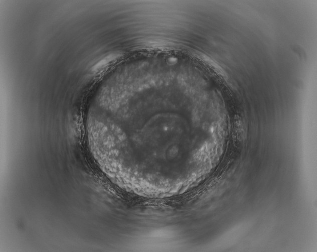 X0000112470918200908171155