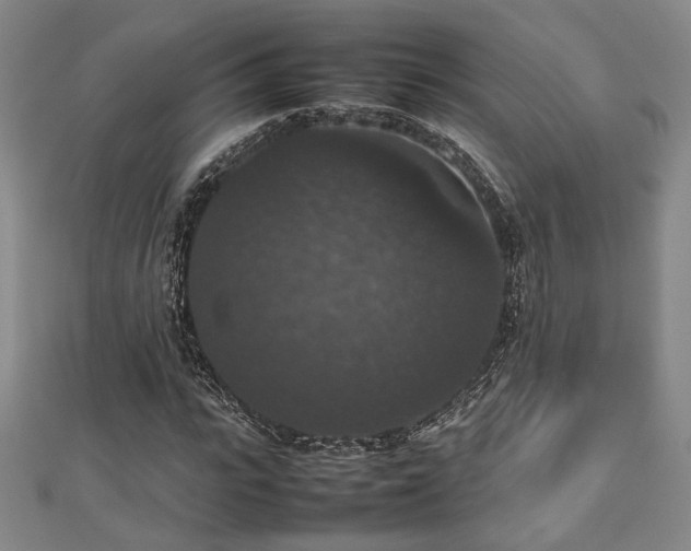 X0000112470919200908171155