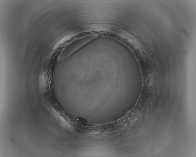 X0000112470920200908171155