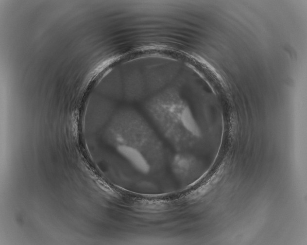 X0000112470921200908171155