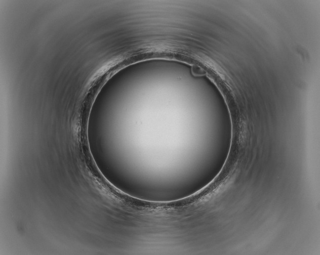 X0000112470922200908171155