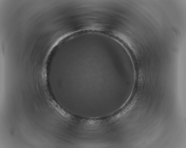 X0000112470923200908171155