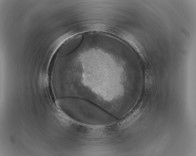 X0000112470924200908171155