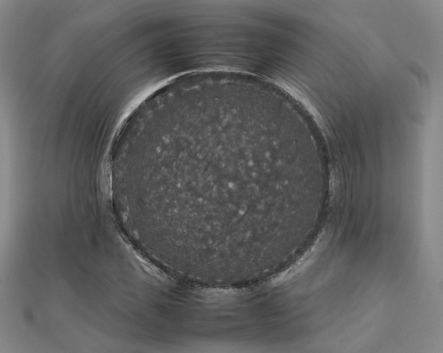 X0000112470925200908171155