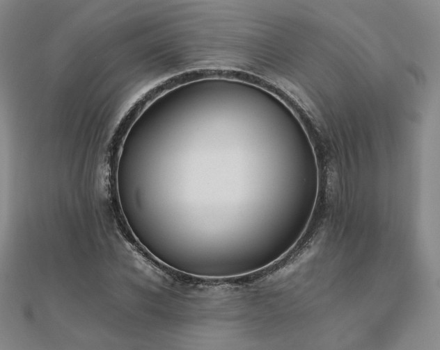 X0000112470926200908171155