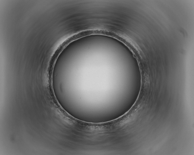 X0000112470927200908171155