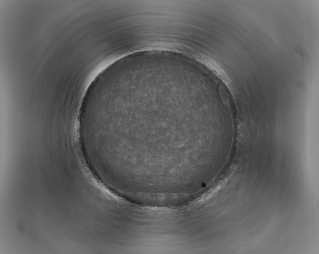 X0000112470928200908171155