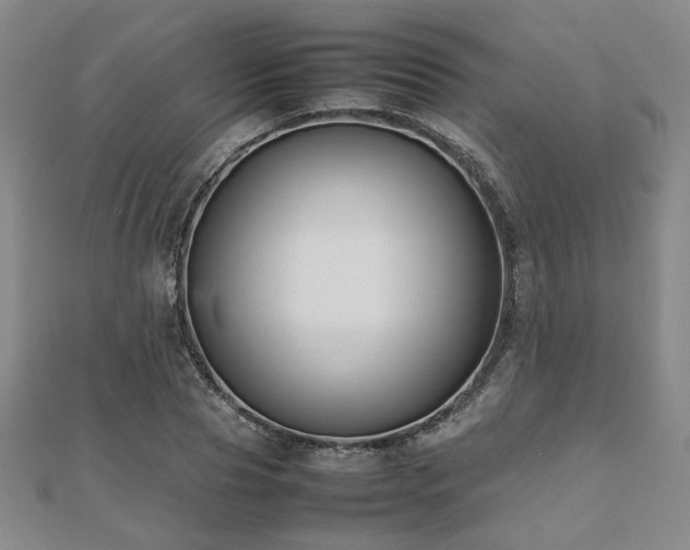 X0000112470929200908171155