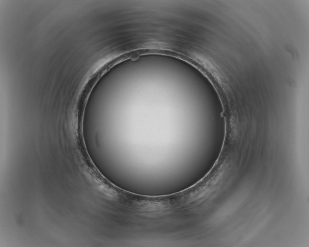 X0000112470931200908171155