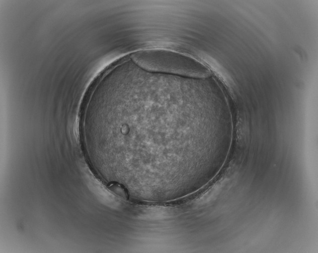 X0000112470932200908171155