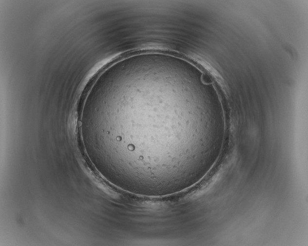 X0000112470933200908171155