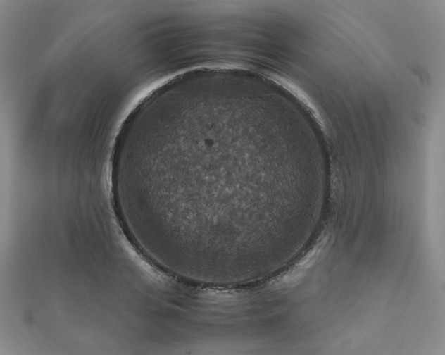 X0000112470935200908171155