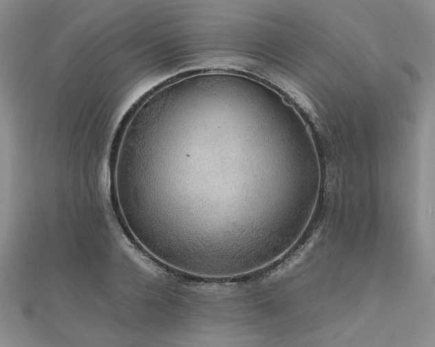 X0000112470936200908171155