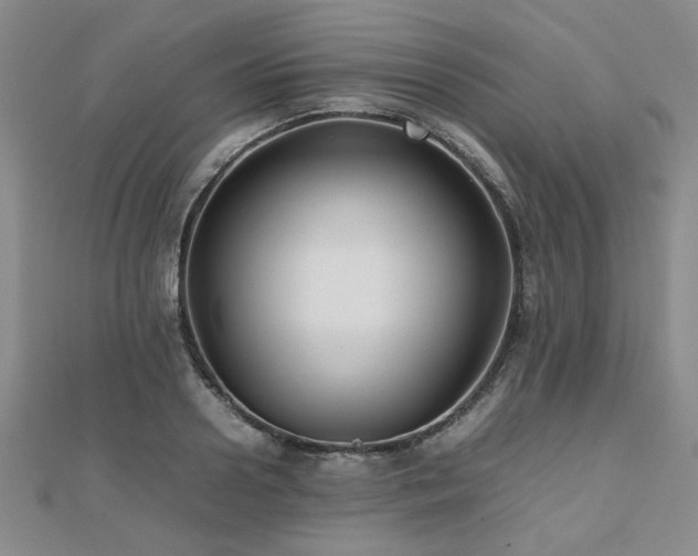 X0000112470938200908171155