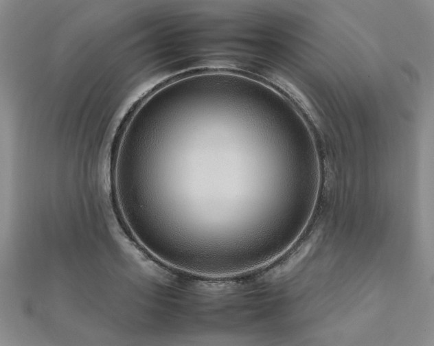 X0000112470939200908171155