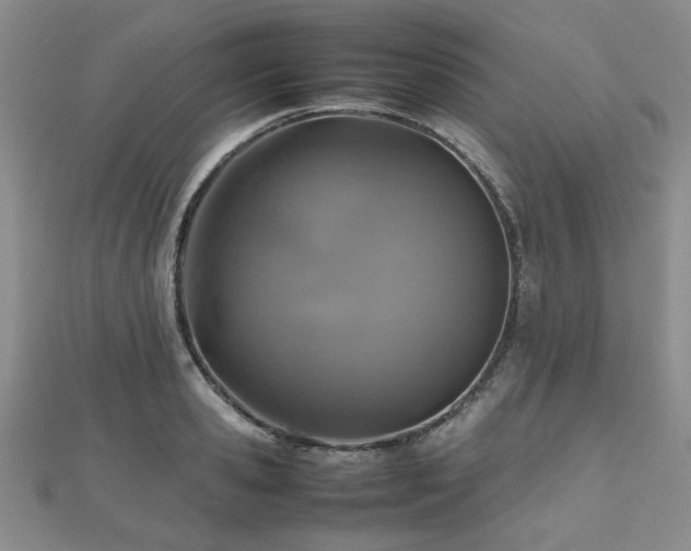 X0000112470941200908171155