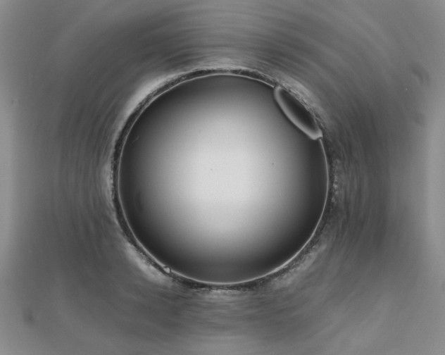 X0000112470942200908171155