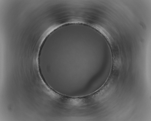 X0000112470943200908171155