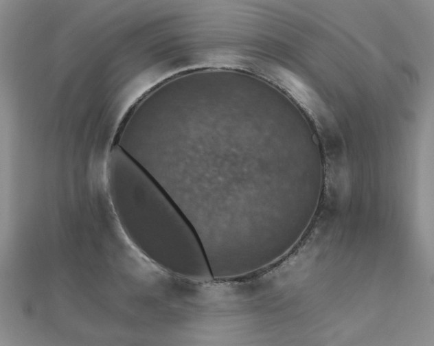 X0000112470944200908171155