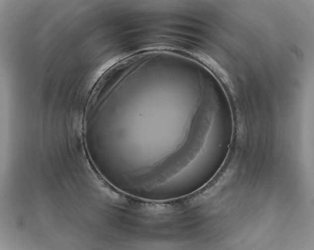 X0000112470945200908171155