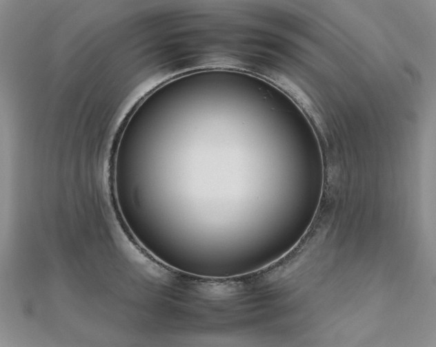 X0000112470947200908171155