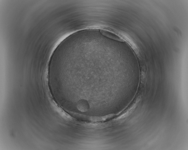 X0000112470948200908171155