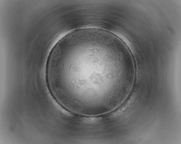 X0000112470949200908171155