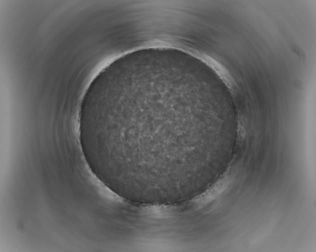 X0000112470950200908171155