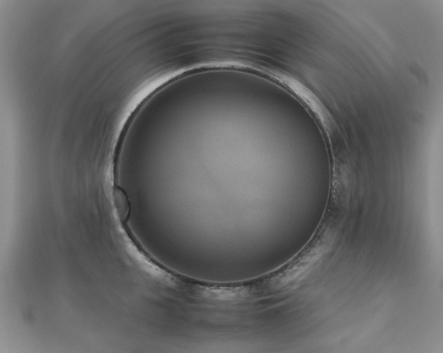 X0000112470951200908171155