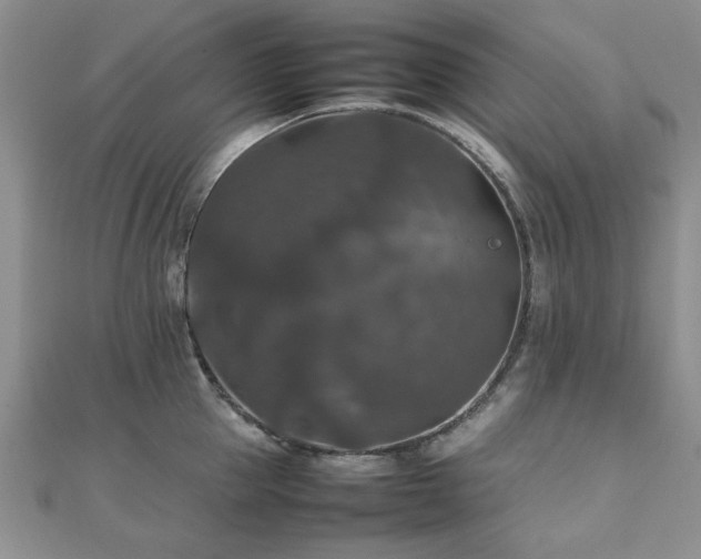 X0000112470953200908171155