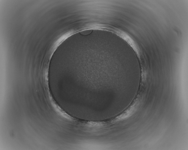 X0000112470954200908171155