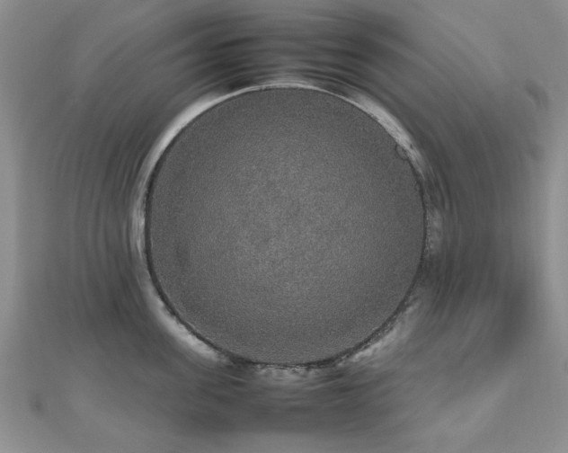 X0000112470955200908171155