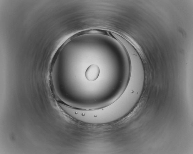 X0000112470956200908171155