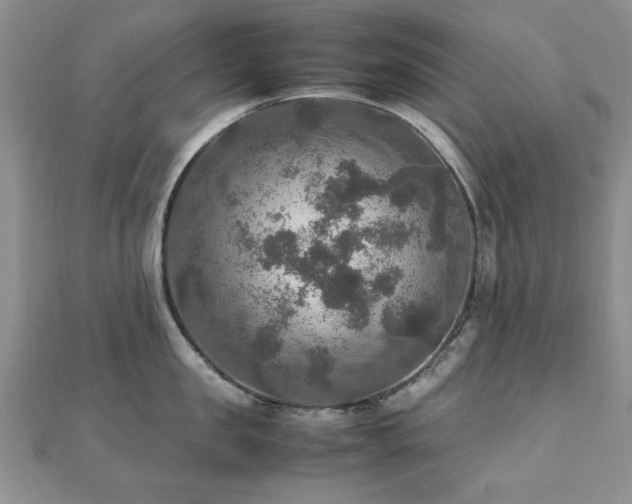 X0000112470957200908171155