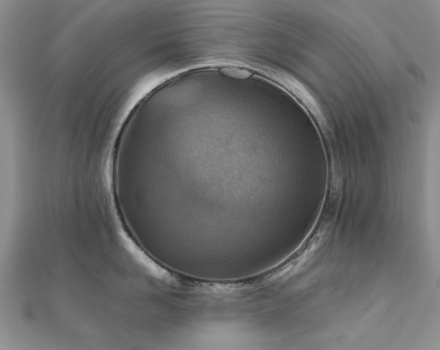 X0000112470958200908171155