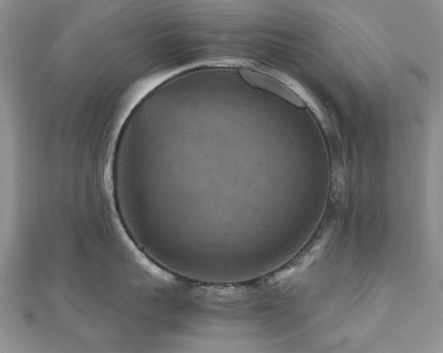 X0000112470959200908171155