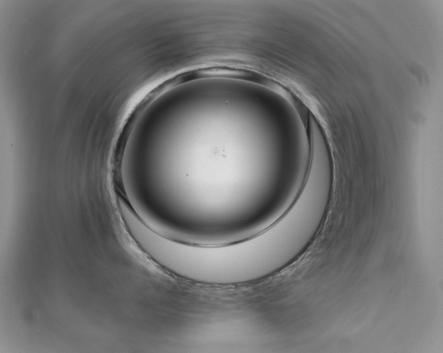 X0000112470960200908171155