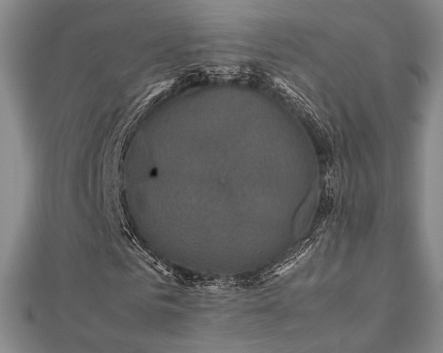 X0000112470961200908171155