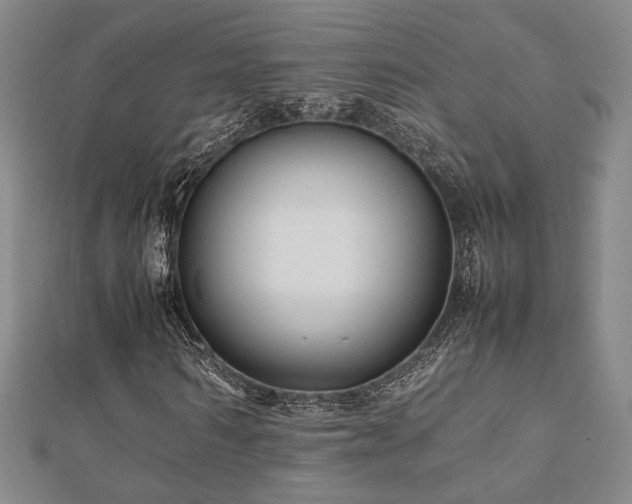 X0000112470962200908171155