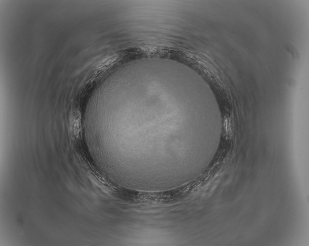 X0000112470963200908171155