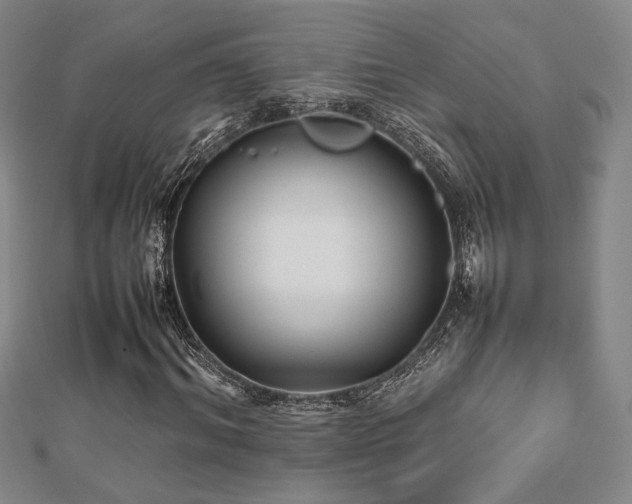 X0000112470964200908171155