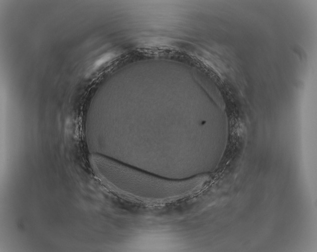 X0000112470965200908171155